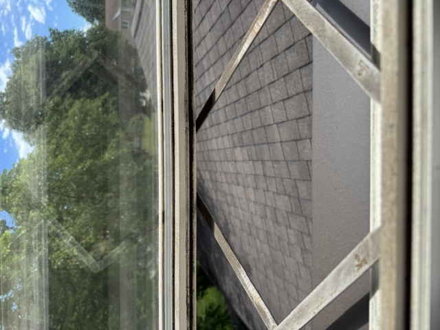 image1 (19)
